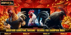 Backyard Gamefowl Housing - Designs For Champion Birds