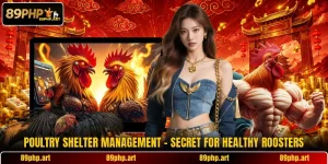 Poultry Shelter Management - Secret For Healthy Roosters